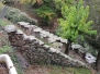 Cévennes 2013