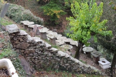 cevennes1_800
