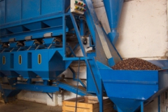 cuneo9_800